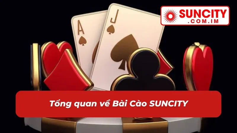 Bài Cào: Game Bài Đổi Thưởng Hot Hit SỐ 1 Tại SUNCITY 2 Đôi nét về game Bài Cào tại nhà cái