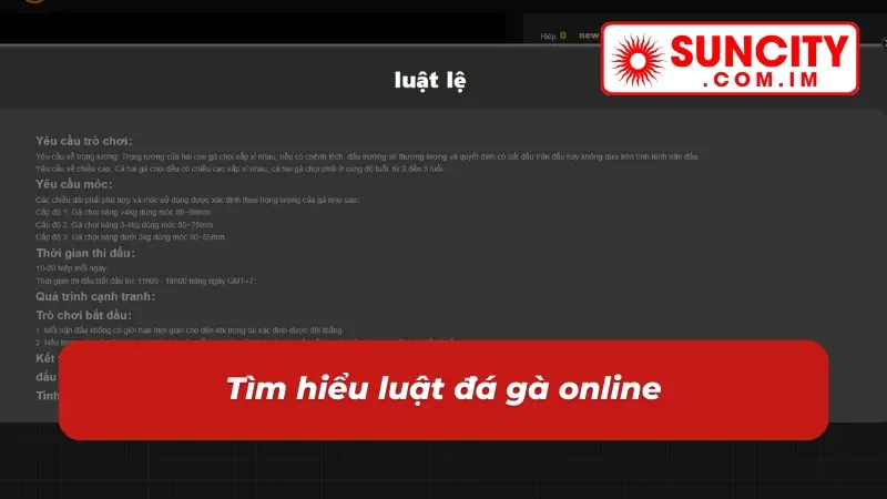 Đá Gà SUNCITY - Trải Nghiệm Không Gian Cá Cược Đẳng Cấp 3 Tìm hiểu luật chơi đá gà siêu dễ hiểu