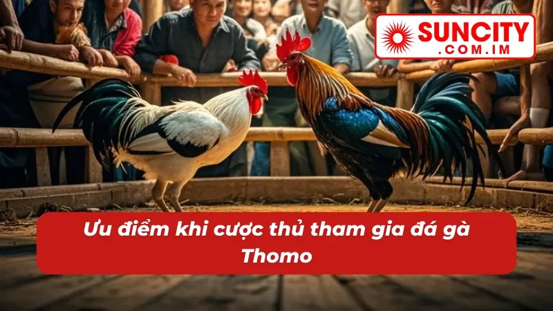 05 ưu điểm chỉ có tại đá gà Thomo