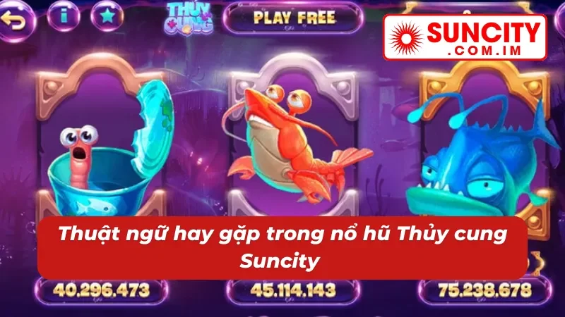 Thuộc lòng các cụm từ hay gặp tại slots Thủy Cung 