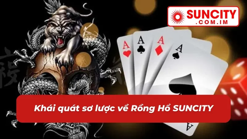 Những thông tin thú vị xoay quanh rồng hổ dành cho tân thủ