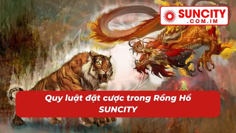 Luật đặt cược rồng hổ mà tân thủ cần phải biết