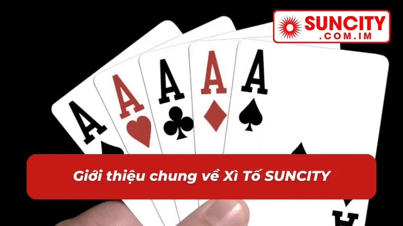 Xì Tố – Game Bài Đổi Thưởng Với Sức Hút Khó Cưỡng Tại SUNCITY 2 Đôi nét về game bài Xì Tố tại nhà cái